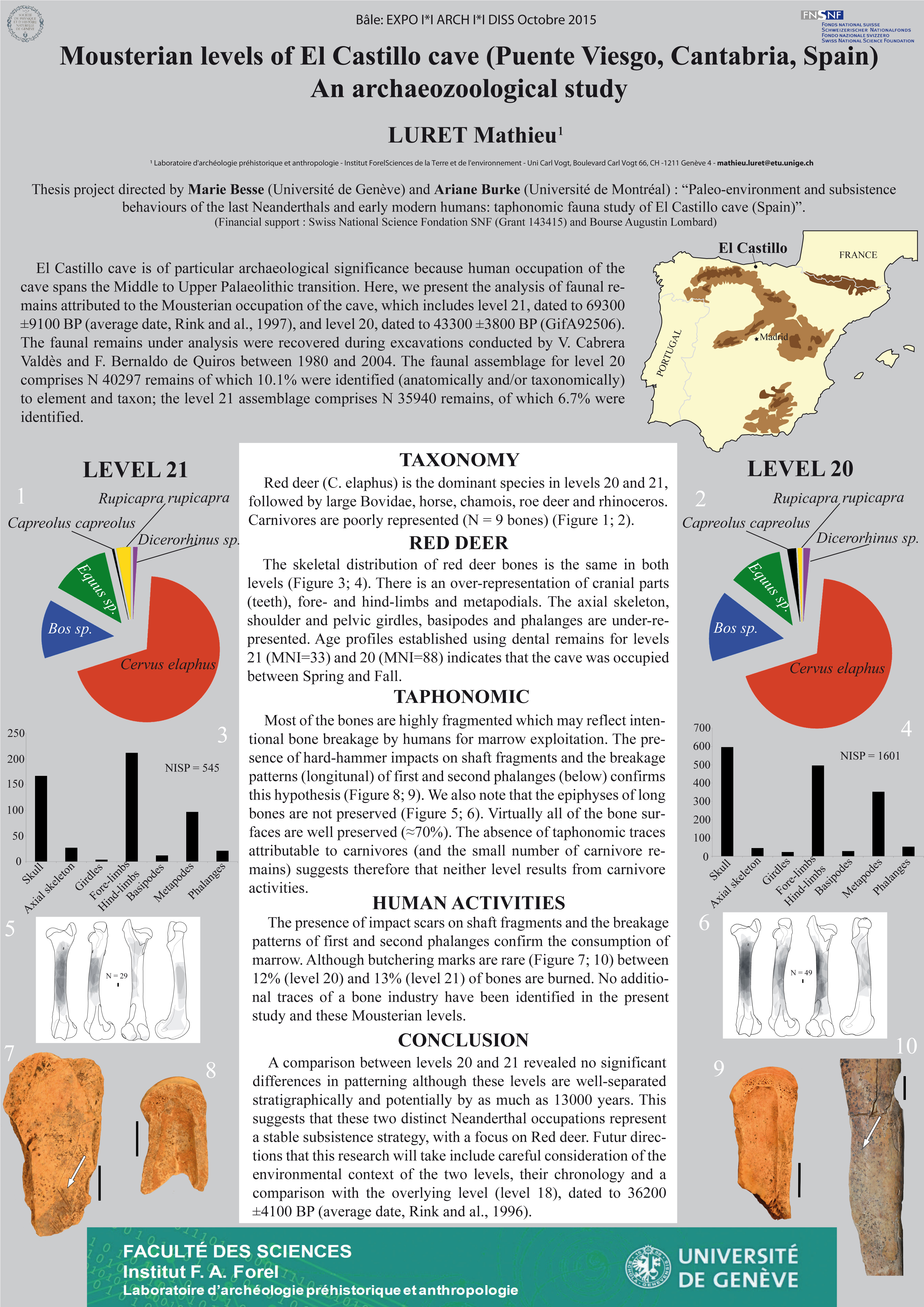 Mathieu LURET: Mousterian levels of El Castillo cave (Puente Viesgo, Cantabria, Spain). An archaeozoological study.